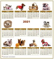 Calendrier 2029 annuel spécial 'chiens' avec 10 photos
