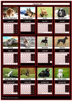 Un chien de race pour chacun des mois de ce calendrier 1918 annuel
