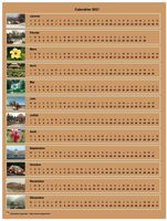 Calendrier 2016 annuel horizontal avec 12 photos