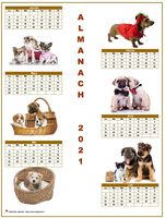 Calendrier 2009 semestriel chiens format portrait