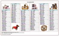 Calendrier 2014 semestriel chiens