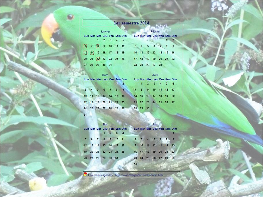 Calendrier 2014 à imprimer semestriel, format paysage, incrusté au centre d'une photo (perroquet vert).