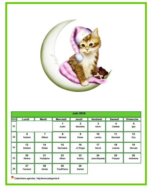 Calendrier juin 2016 chats