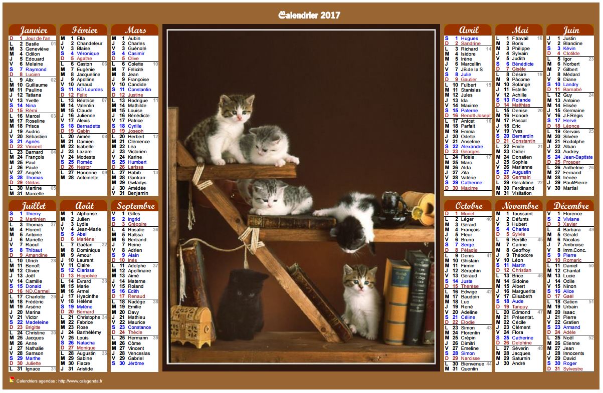 Calendrier 2017 annuel de style calendrier des postes avec des chats