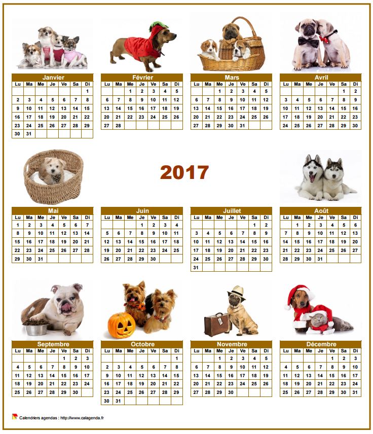 Calendrier 2017 annuel spécial 'chiens' avec 10 photos