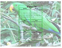 Calendrier 2017 à imprimer semestriel, format paysage, incrusté au centre d'une photo (perroquet vert).