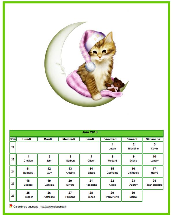 Calendrier juin 2018 chats