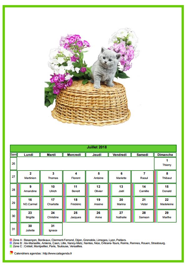 Calendrier juillet 2018 chats