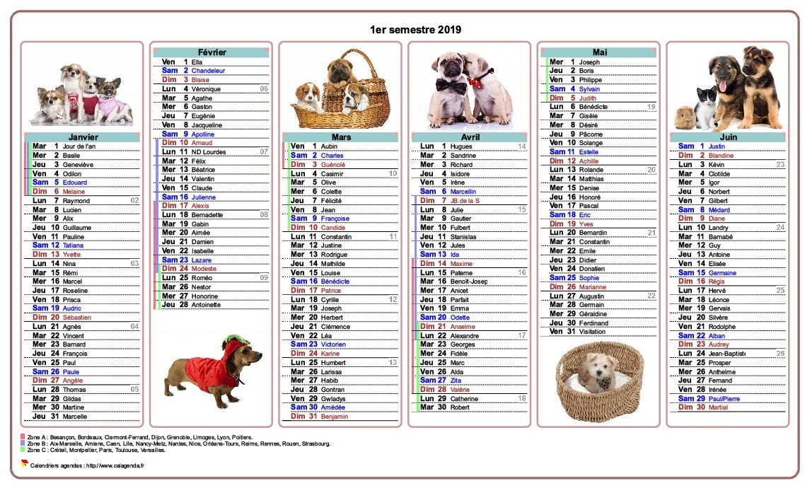 Calendrier 2019 semestriel chiens