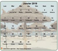 Calendrier de février 2019 à imprimer, en transparence sur une photo