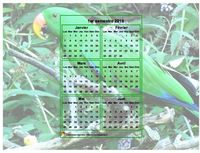 Calendrier 2019 à imprimer semestriel, format paysage, incrusté au centre d'une photo (perroquet vert).