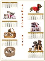 Calendrier 2019 semestriel chiens format portrait