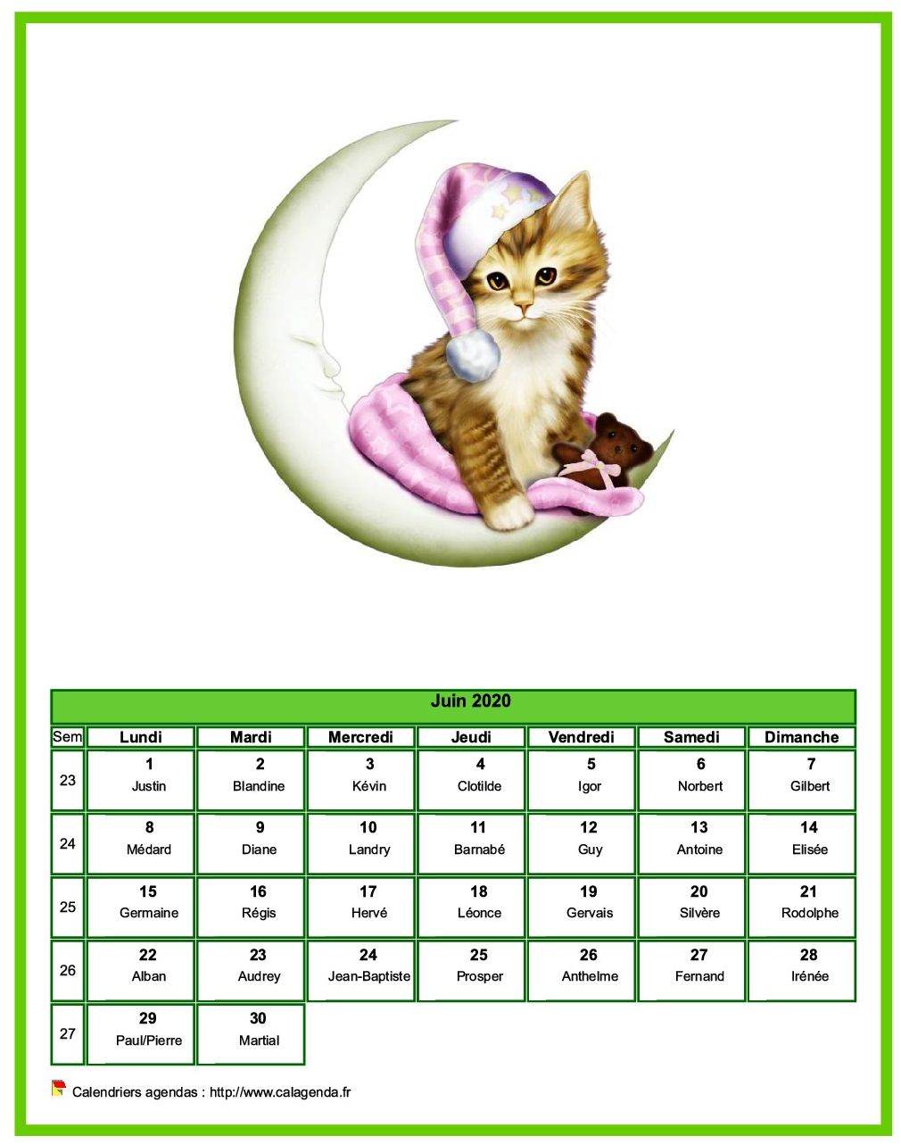 Calendrier juin 2020 chats