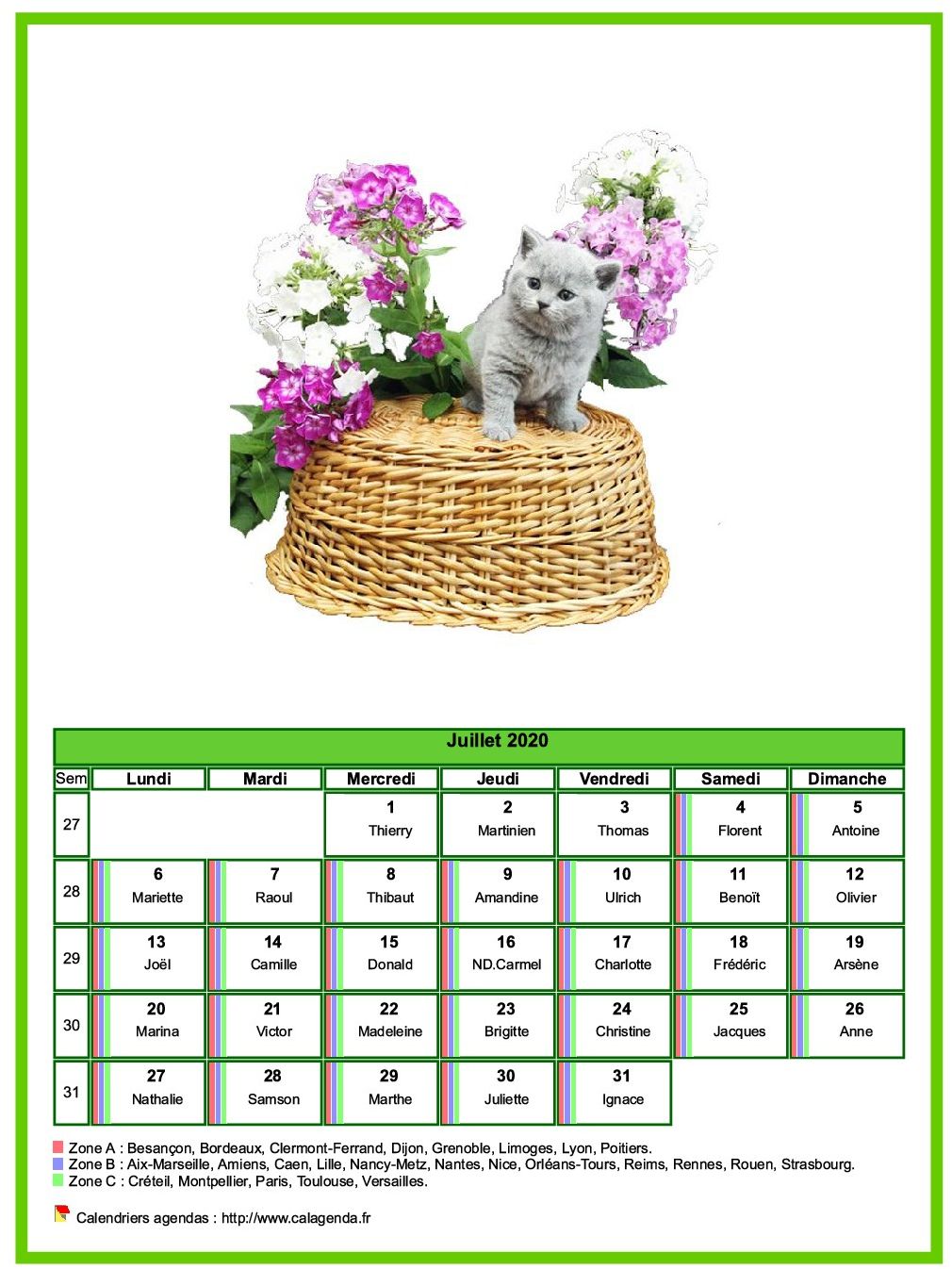 Calendrier juillet 2020 chats