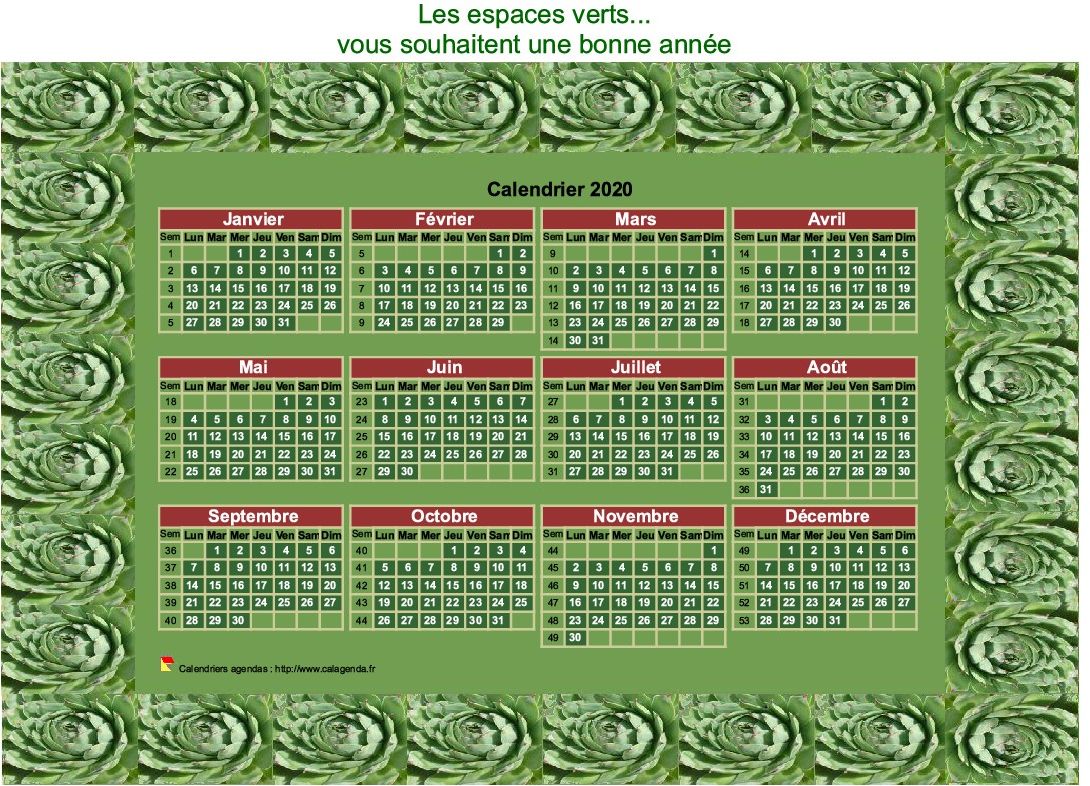 Calendrier 2020 décoratif annuel à imprimer, avec cadre photo vert