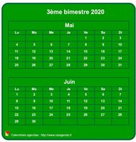 Calendrier 2020 à imprimer bimestriel, format mini de poche, vertical, fond vert