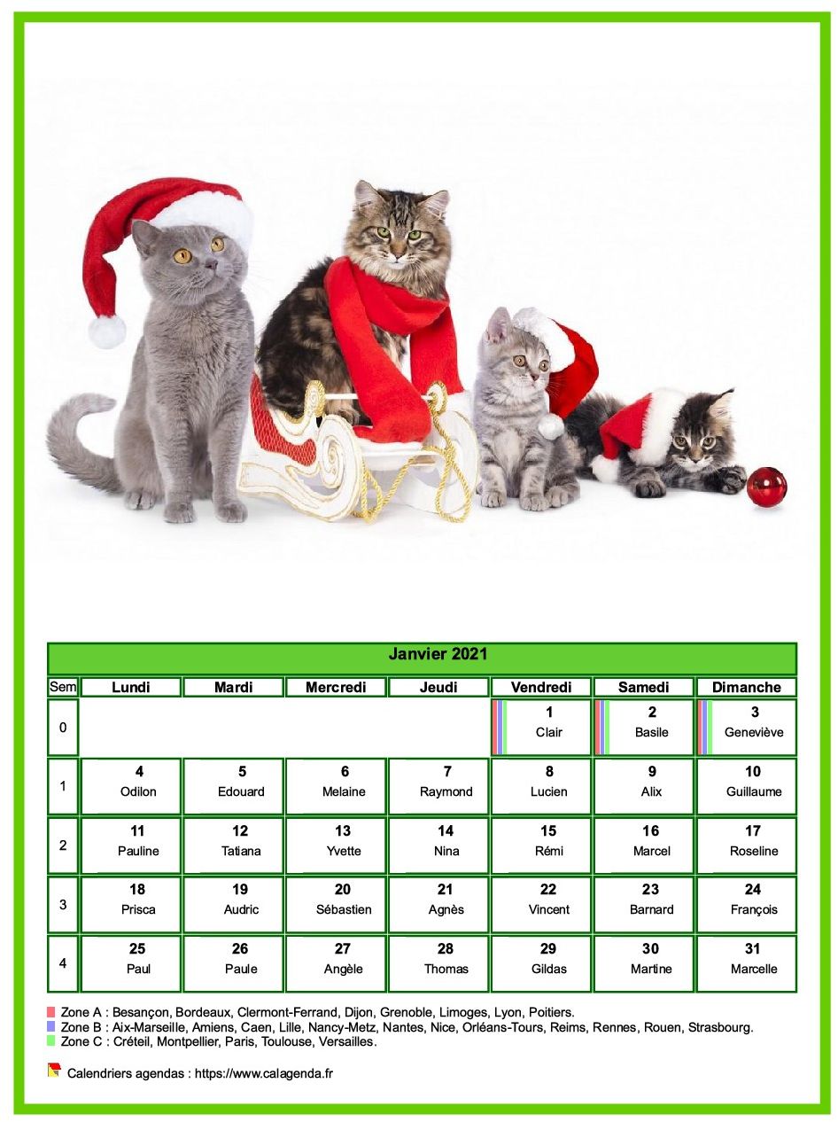 Calendrier janvier 2021 chats