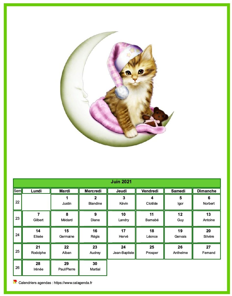 Calendrier juin 2021 chats