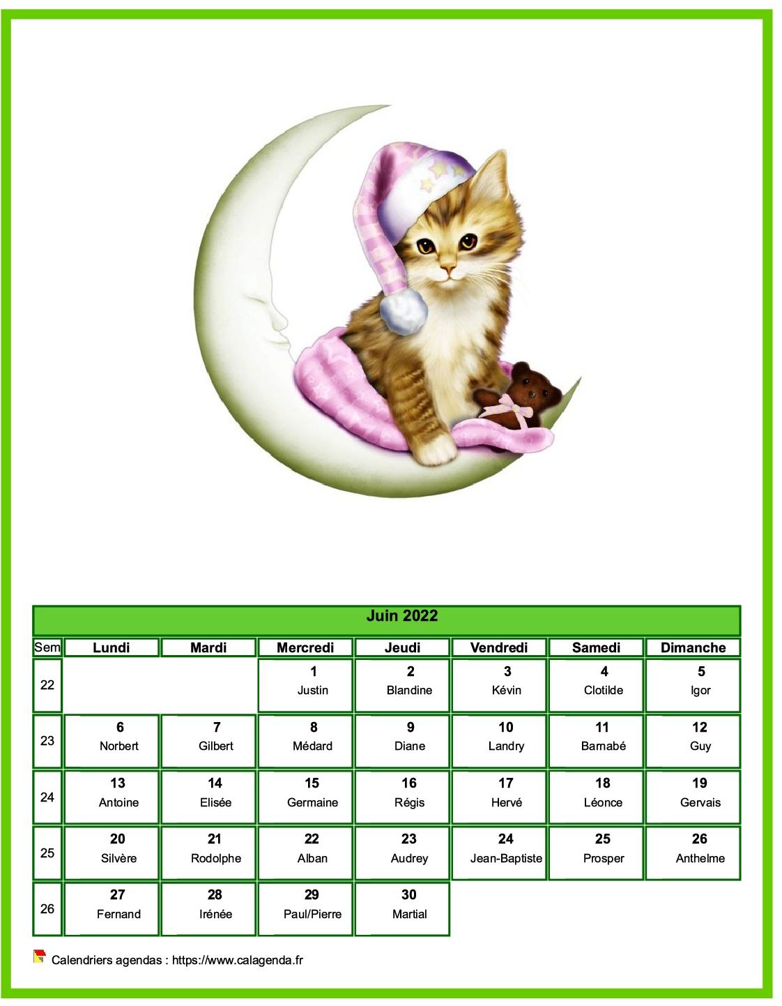 Calendrier juin 2022 chats