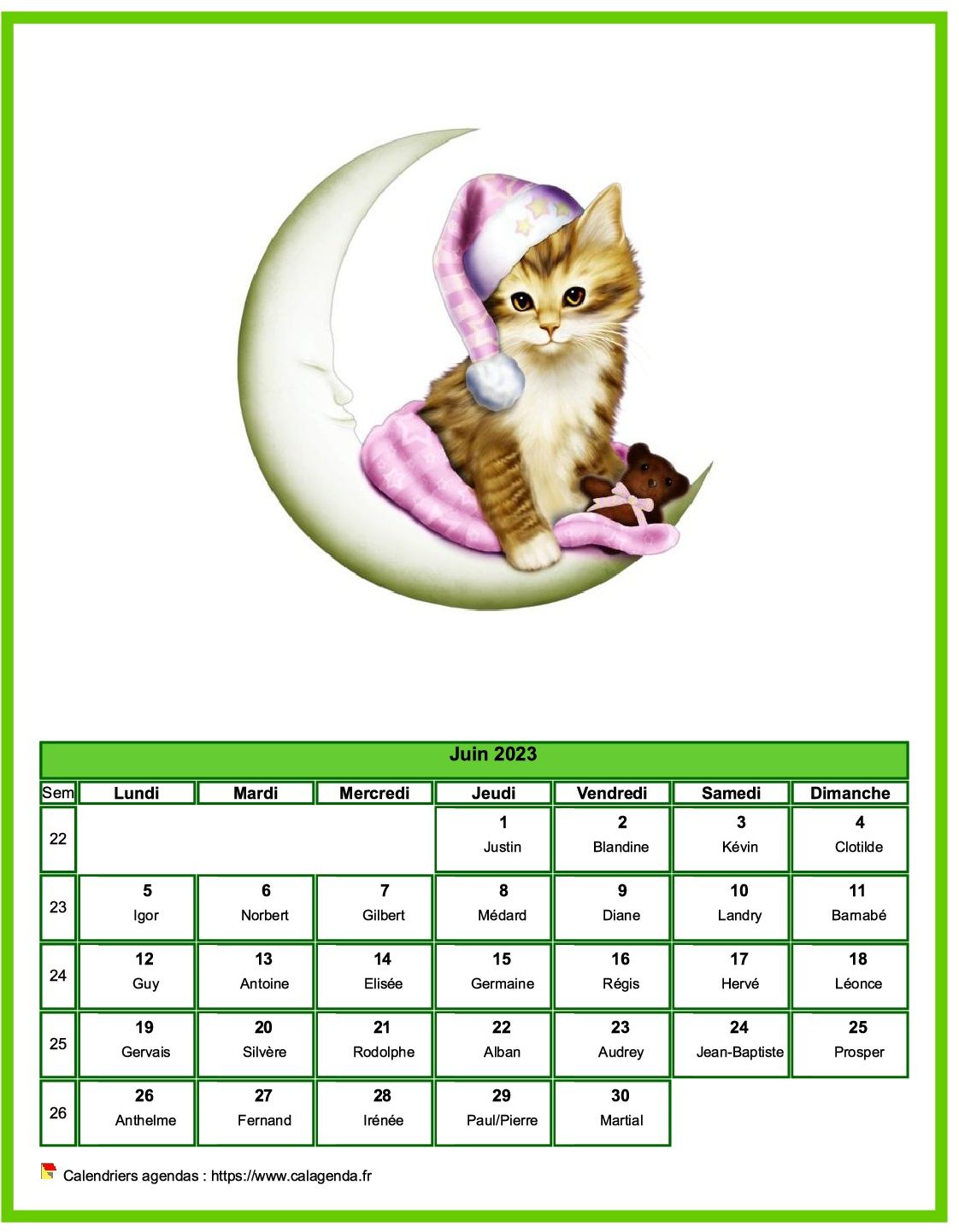 Calendrier juin 2023 chats