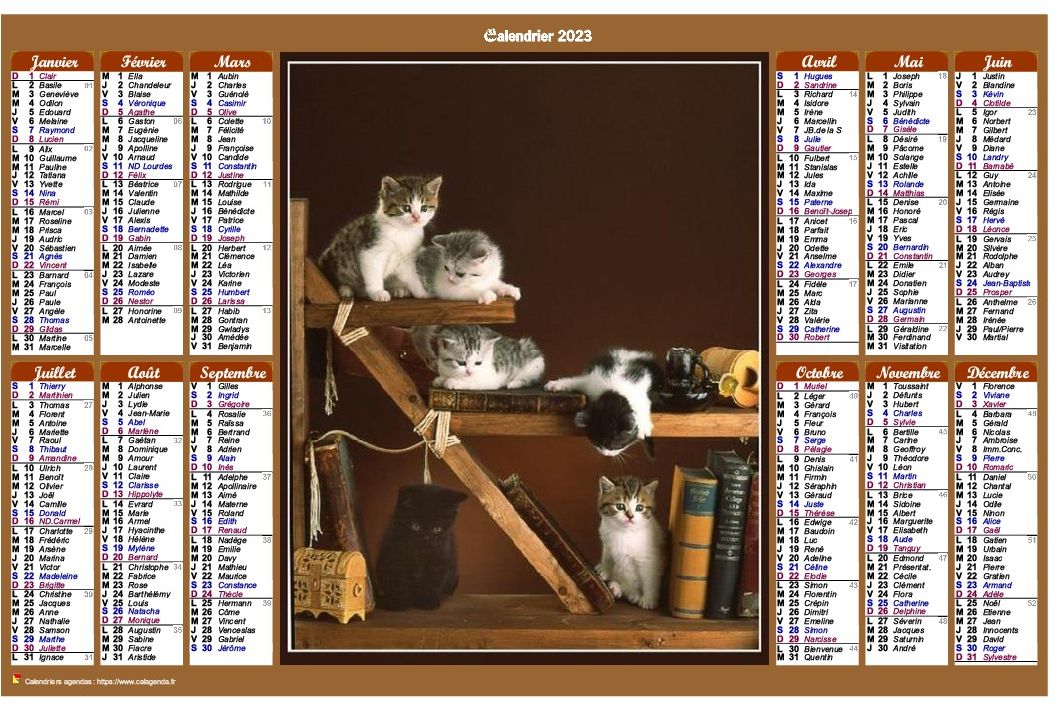 Calendrier 2023 annuel de style calendrier des postes avec des chats