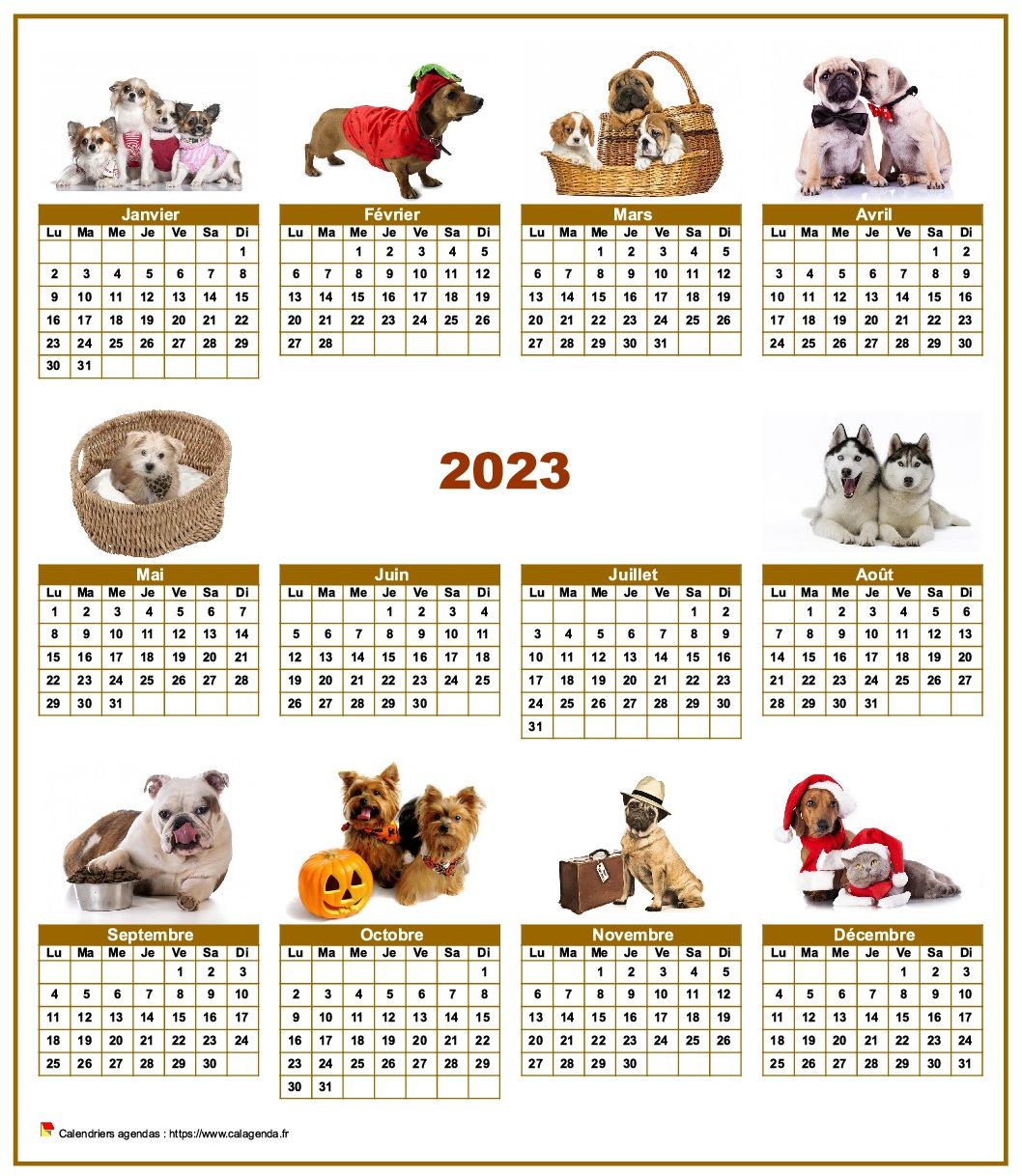 calendrier adopt 2024 Year Calendar 2024