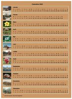 Calendrier annuel horizontal avec 12 photos