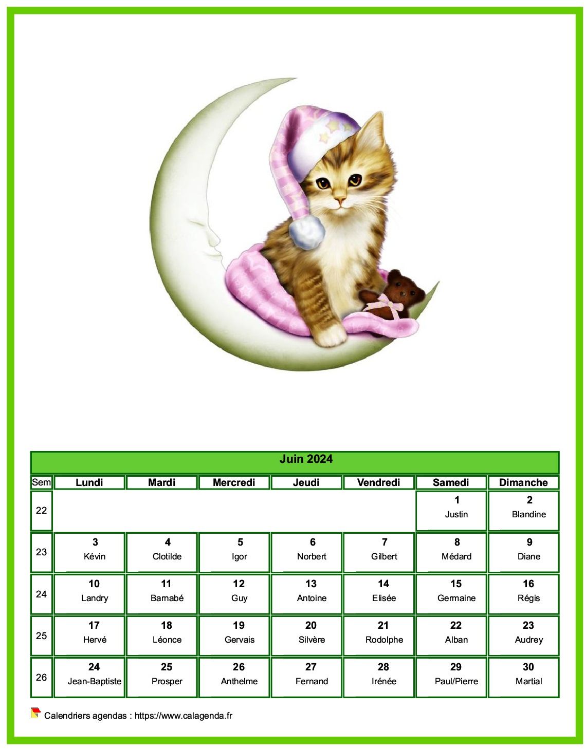 Calendrier juin 2024 chats