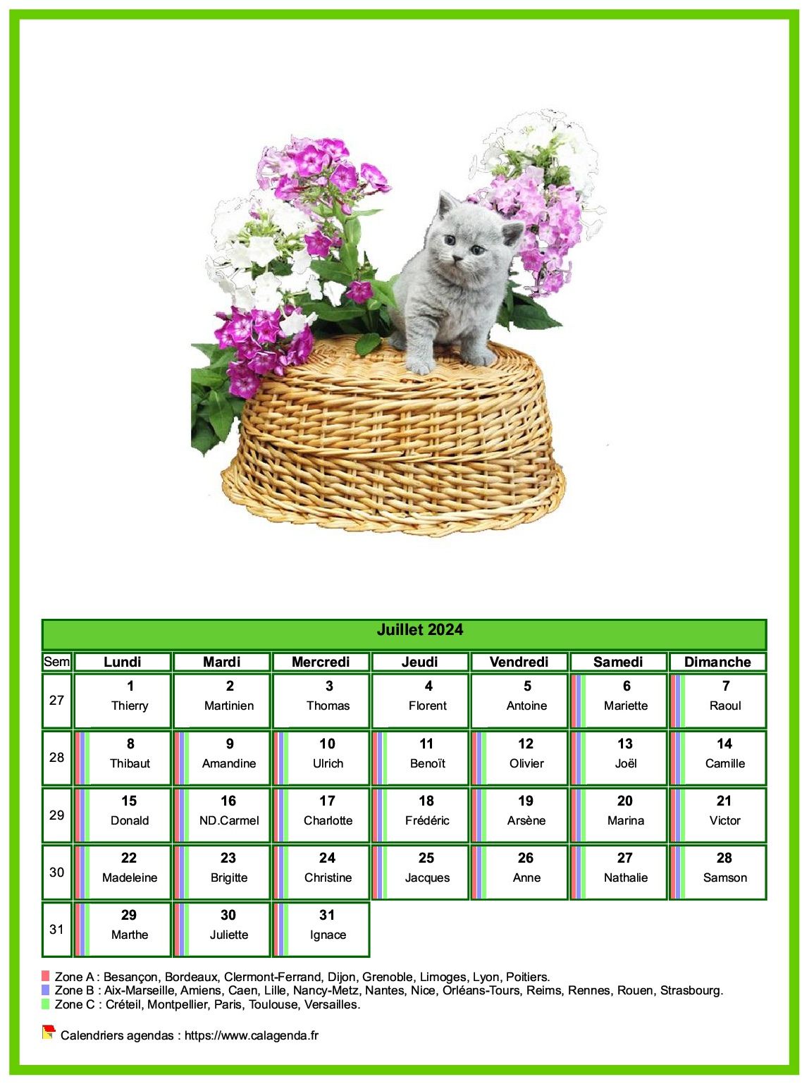 Calendrier juillet 2024 chats