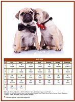 Calendrier d'avril chiens