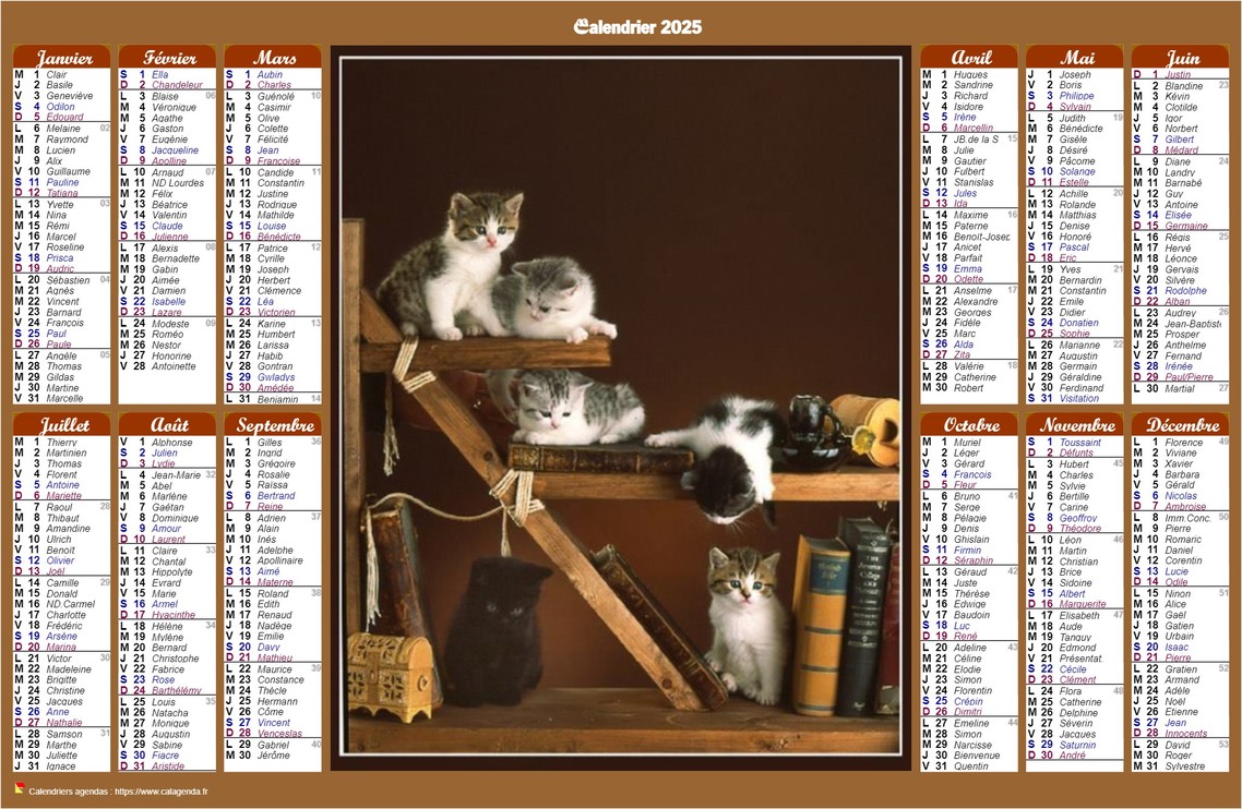 Calendrier 2025 annuel de style calendrier des postes avec des chats
