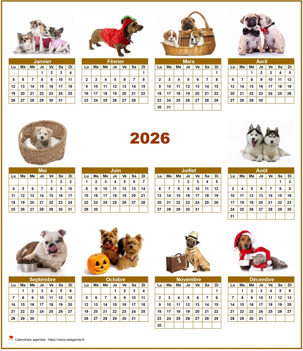 Calendrier 2026 annuel spécial 'chiens' avec 10 photos Calendrier 2026 annuel spécial 'chiens' avec 10 photos