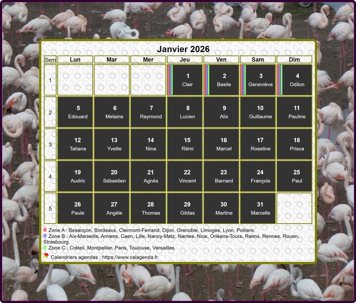 Calendrier 2026 agenda artistique mensuel, cadre photo flamands roses