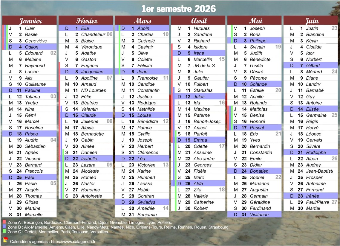Calendrier 2026 à imprimer, semestriel, avec les fêtes, format portrait, une colonne par mois