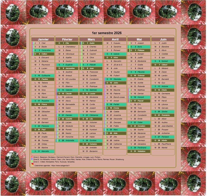 Calendrier 2026 semestriel décoratif à imprimer, avec cadre photo, format portrait, une colonne par mois Calendrier 2026 semestriel décoratif à imprimer, avec cadre photo, format portrait, une colonne par mois