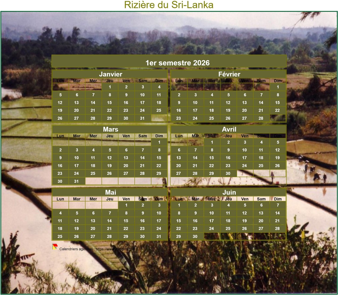 Calendrier 2026 artistique semestriel à imprimer, format mini de poche, avec photo Calendrier 2026 artistique semestriel à imprimer, format mini de poche, avec photo
