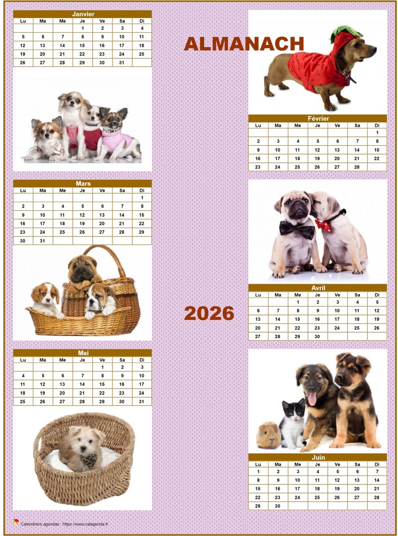 Calendrier 2026 semestriel chiens format portrait Calendrier 2026 semestriel chiens format portrait