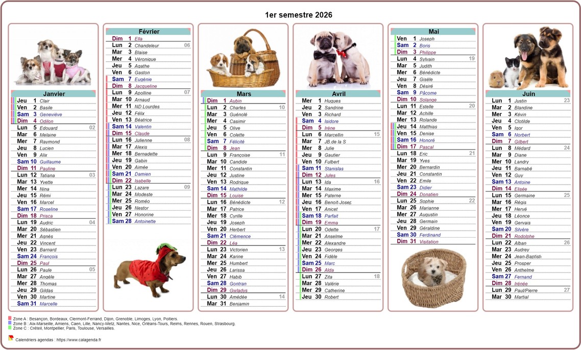 Calendrier 2026 semestriel chiens Calendrier 2026 semestriel chiens