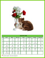 Calendrier de septembre 2026 chats