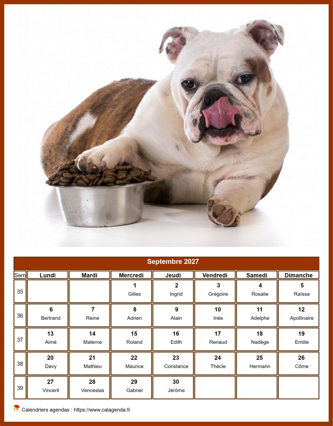 Calendrier septembre 2027 chiens