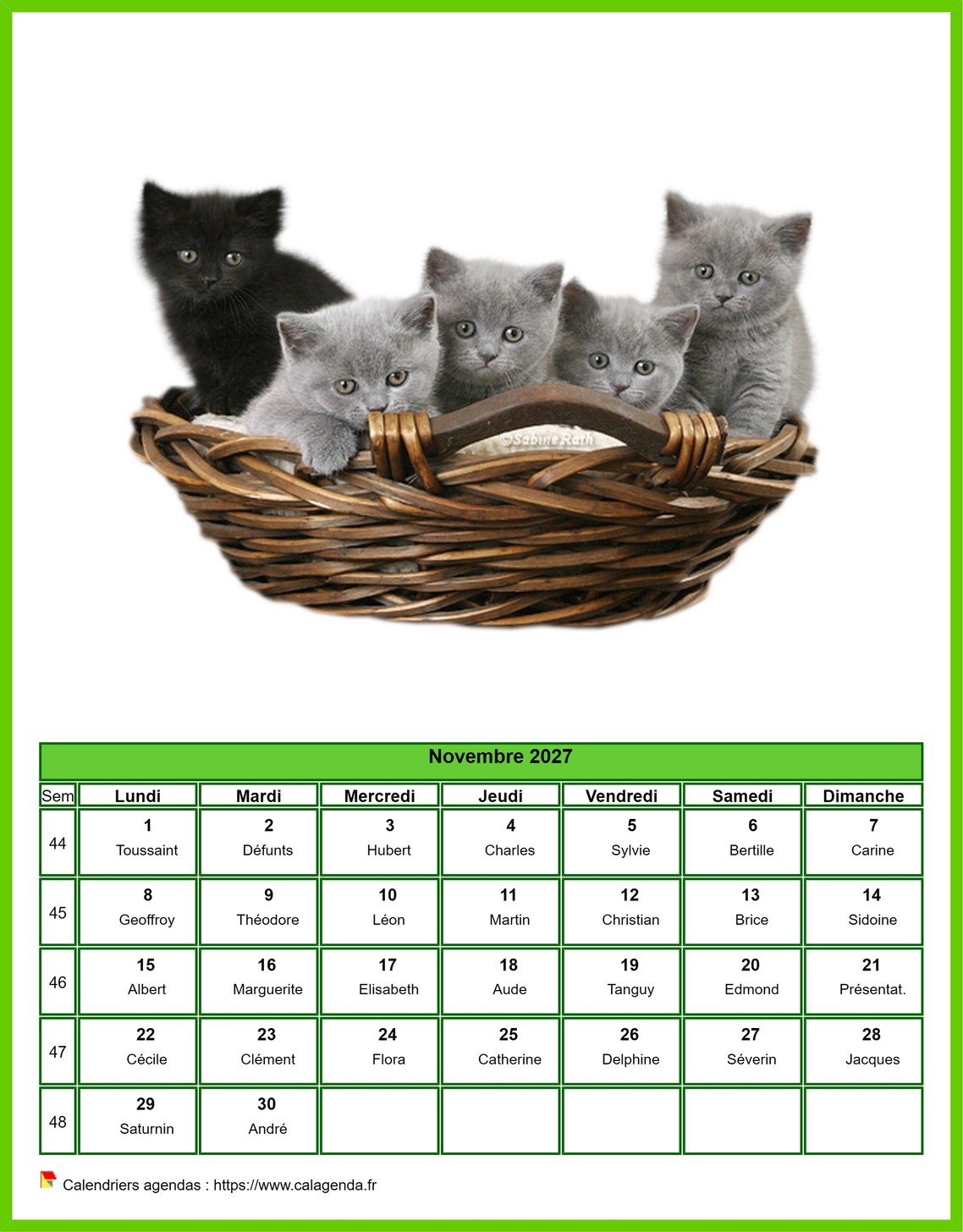 Calendrier novembre 2027 chats