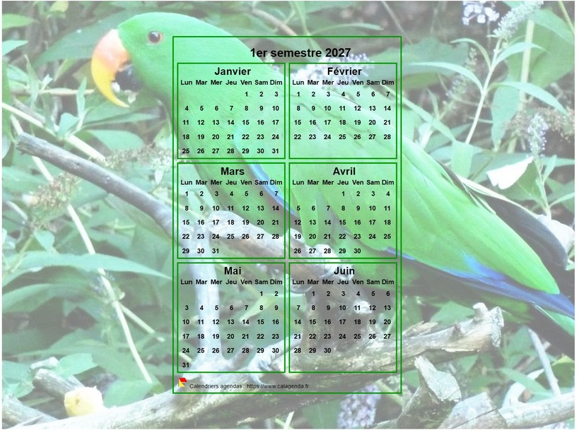 Calendrier 2027 à imprimer semestriel, format paysage, incrusté au centre d'une photo (perroquet vert).