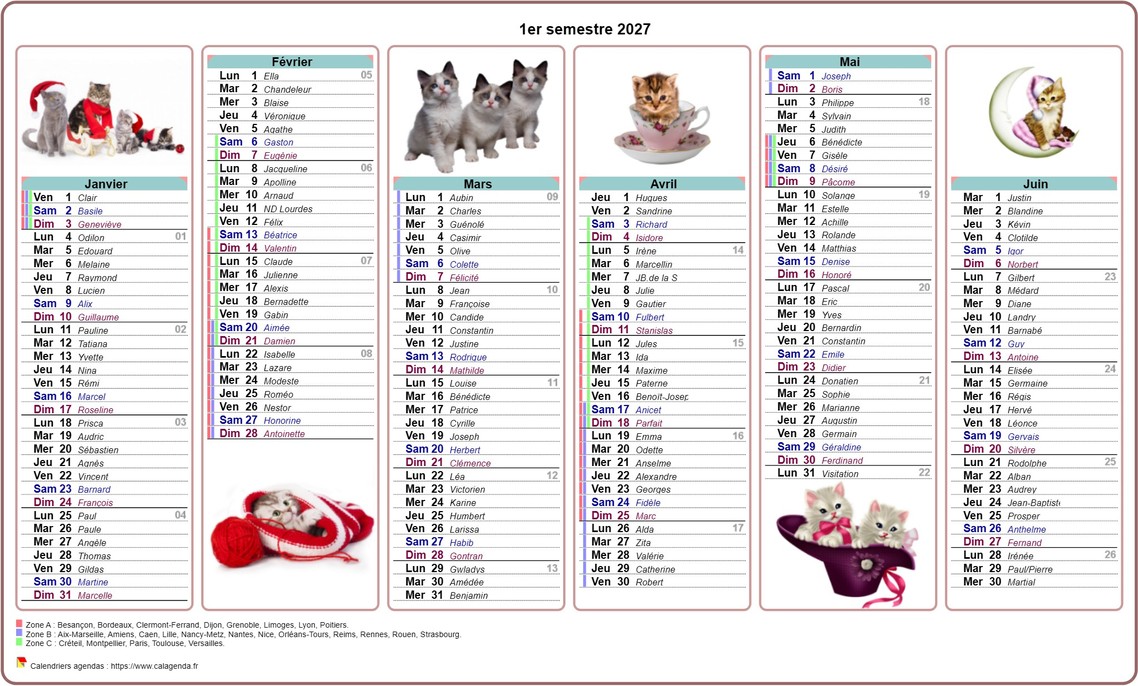 Calendrier 2027 semestriel chats