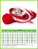 Calendrier de février 2027 chats