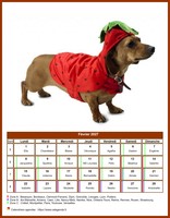 Calendrier de février 2027 chiens
