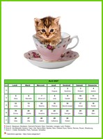 Calendrier d'avril 2027 chats