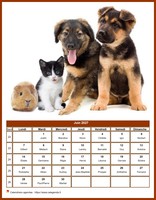 Calendrier de juin 2027 chiens