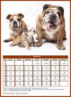 Calendrier de juillet 2027 chiens