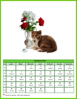 Calendrier de septembre 2027 de la série 'Chats'