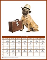 Calendrier de novembre 2027 chiens